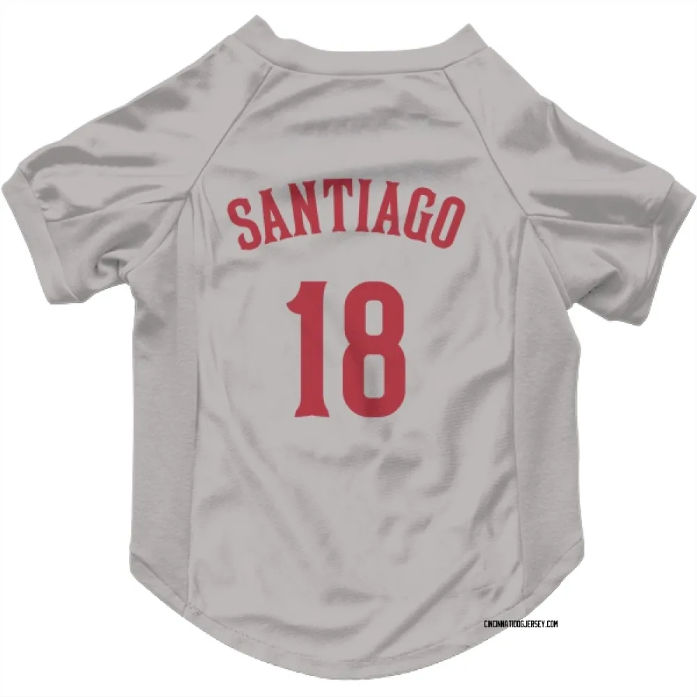 Cincinnati Reds Benito Santiago Gray Pet Jersey for Dog & Cat