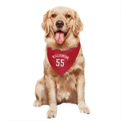 Cincinnati Reds Brandon Williamson Scarlet Pet Bandana for Dog & Cat