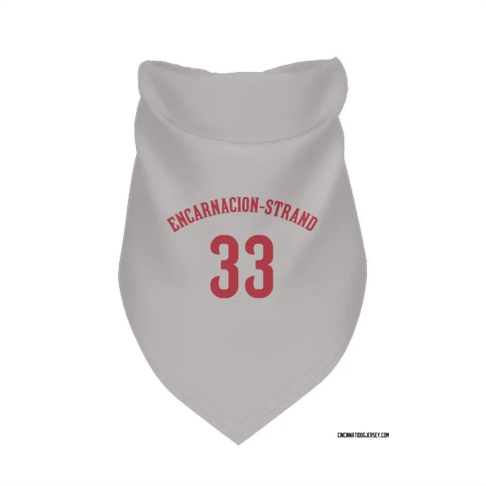 Cincinnati Reds Christian Encarnacion-Strand Gray Pet Bandana for Dog & Cat