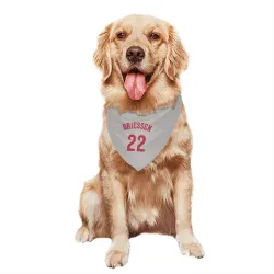 Cincinnati Reds Dan Driessen Gray Pet Bandana for Dog & Cat