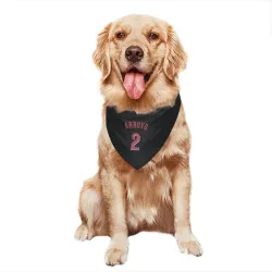 Cincinnati Reds Edwin Arroyo Black Pet Bandana for Dog & Cat