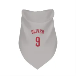 Cincinnati Reds Joe Oliver Gray Pet Bandana for Dog & Cat
