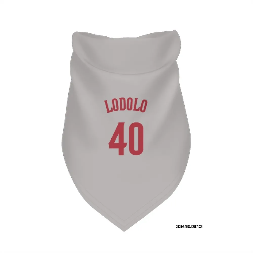 Cincinnati Reds Nick Lodolo Gray Pet Bandana for Dog & Cat