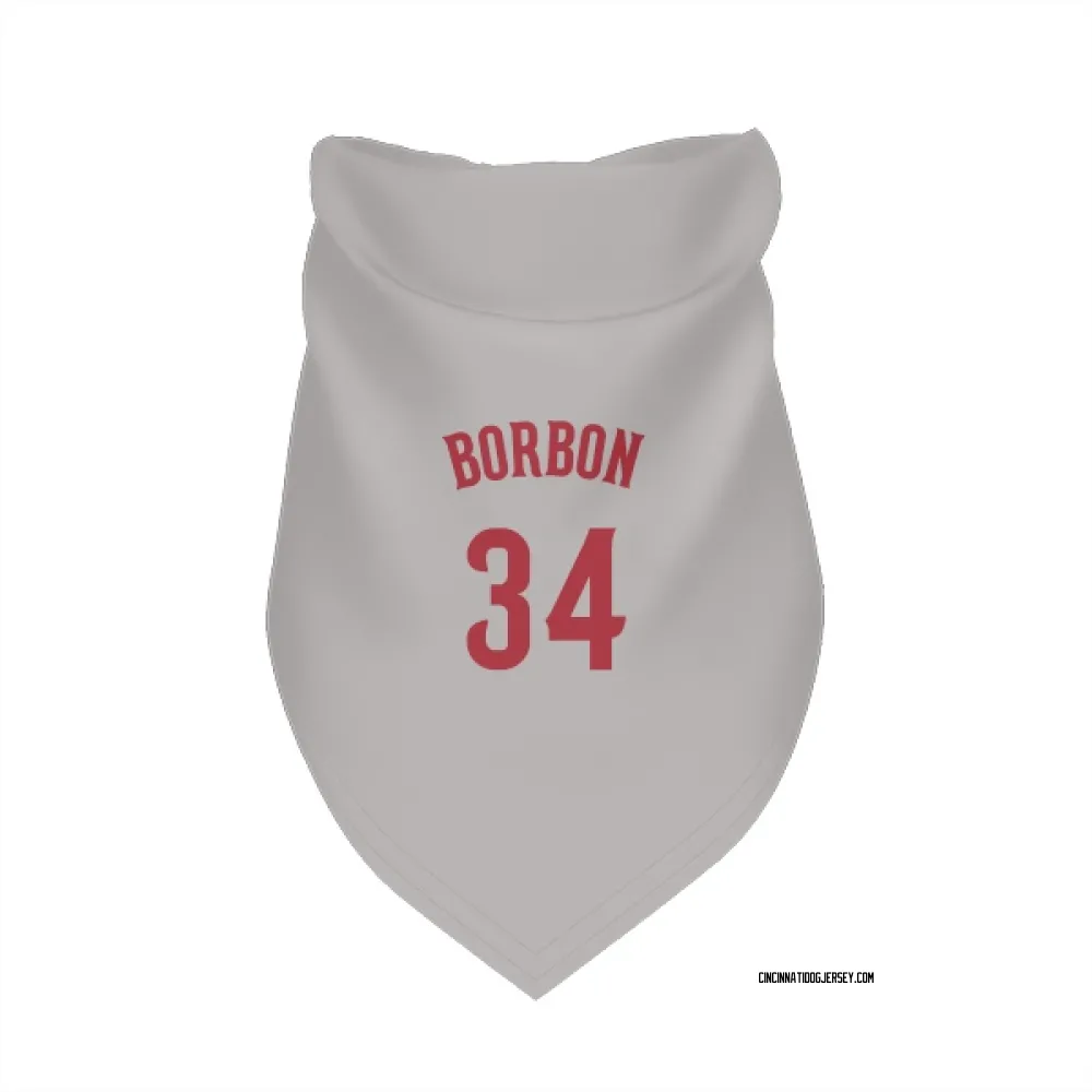 Cincinnati Reds Pedro Borbon Gray Pet Bandana for Dog & Cat