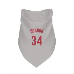 Cincinnati Reds Pedro Borbon Gray Pet Bandana for Dog & Cat