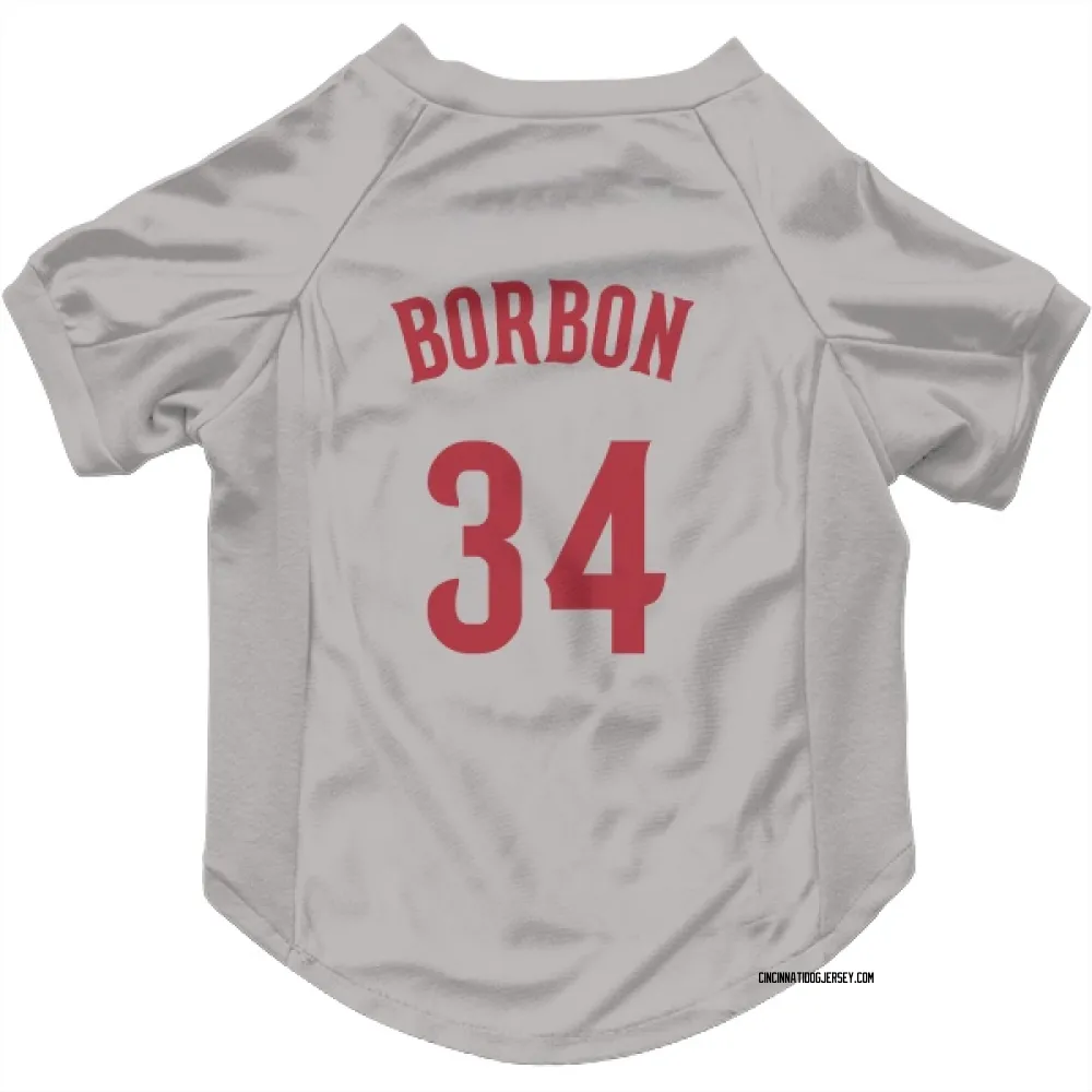 Cincinnati Reds Pedro Borbon Gray Pet Jersey for Dog & Cat