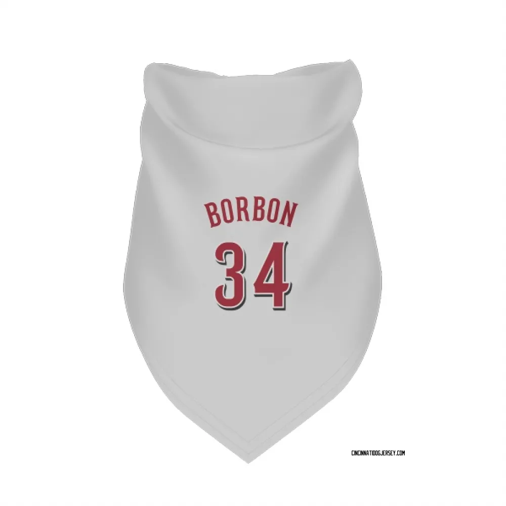 Cincinnati Reds Pedro Borbon White Pet Bandana for Dog & Cat