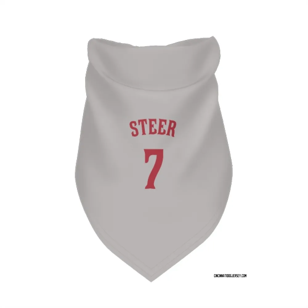 Cincinnati Reds Spencer Steer Gray Pet Bandana for Dog & Cat