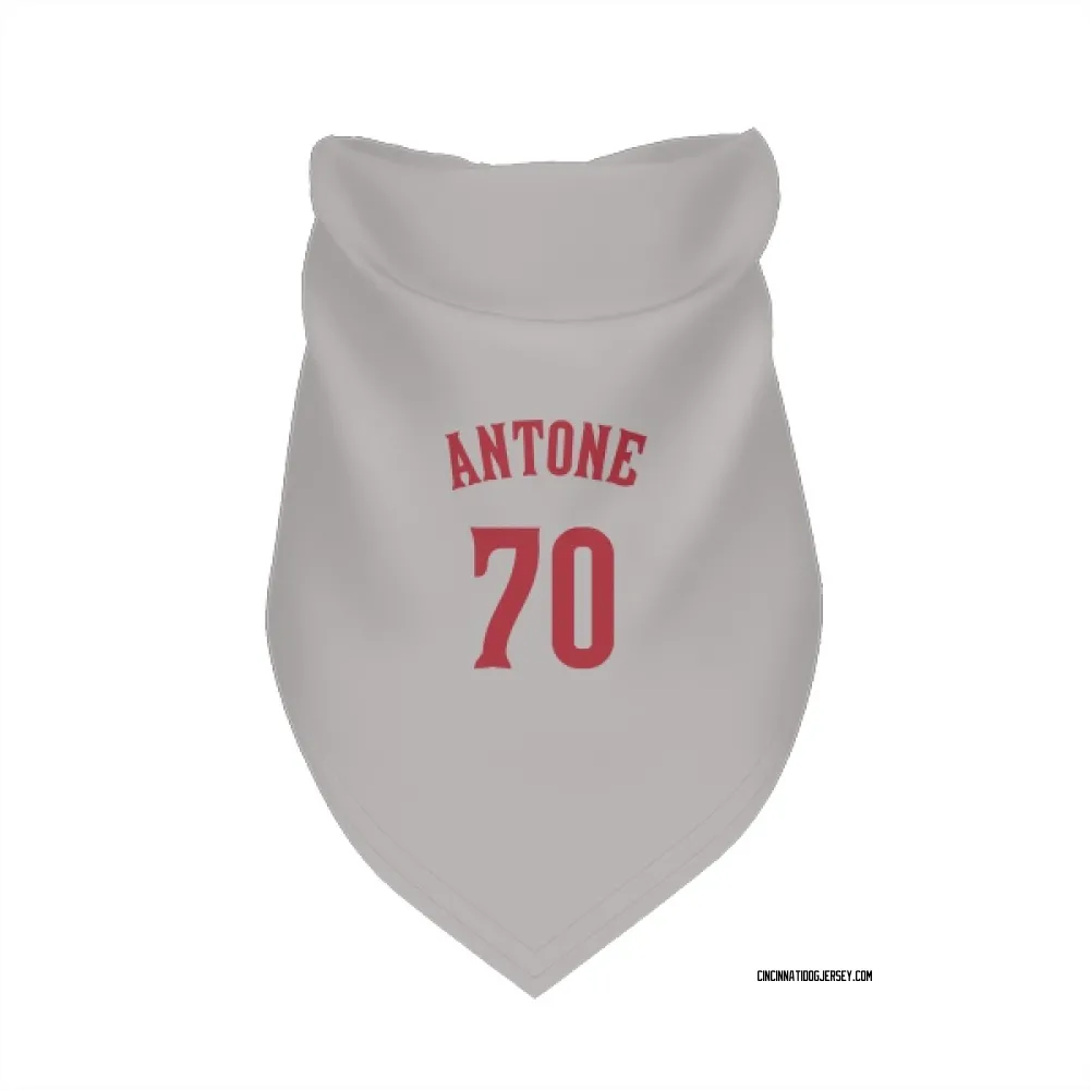 Cincinnati Reds Tejay Antone Gray Pet Bandana for Dog & Cat