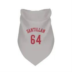 Cincinnati Reds Tony Santillan Gray Pet Bandana for Dog & Cat