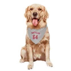 Cincinnati Reds Tony Santillan Gray Pet Bandana for Dog & Cat