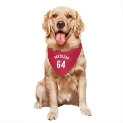 Cincinnati Reds Tony Santillan Red Pet Bandana for Dog & Cat