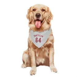 Cincinnati Reds Tony Santillan White Pet Bandana for Dog & Cat