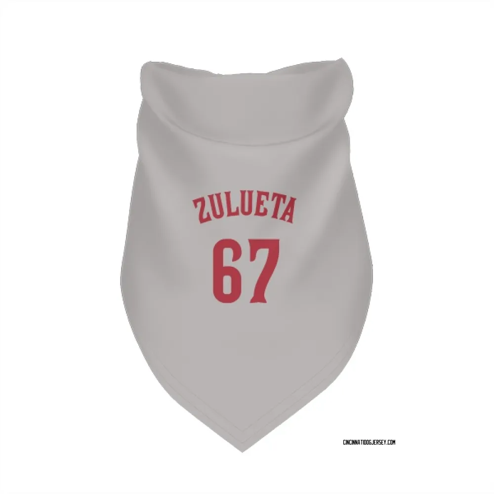 Cincinnati Reds Yosver Zulueta Gray Pet Bandana for Dog & Cat